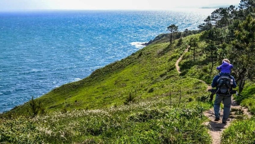 Historia del Camino de Santiago
