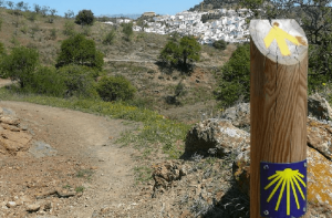 mejores tips para realizar el camino de santiago
