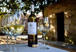 Bienvenido al mundo del Albariño