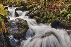 Otoño slow en el Norte de Galicia