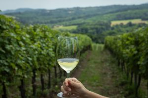 Rutas de vino en Galicia