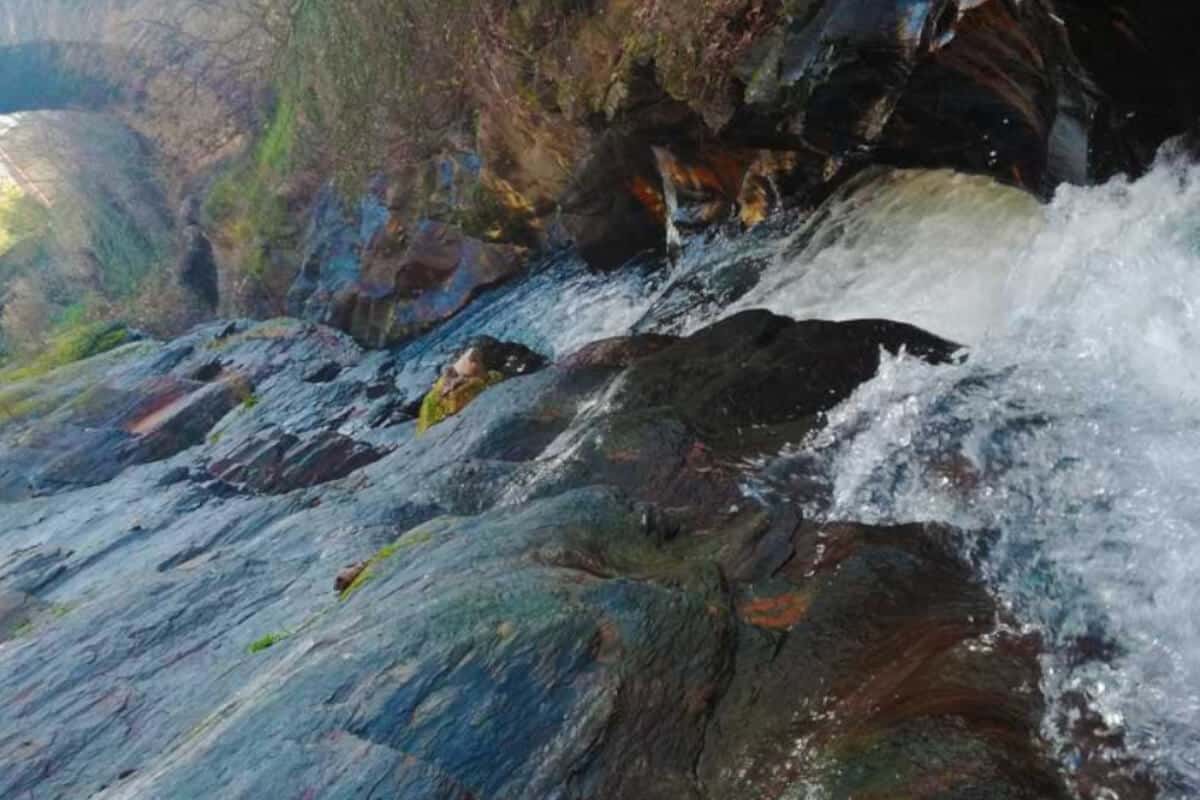 El camino de invierno es un camino olvidado