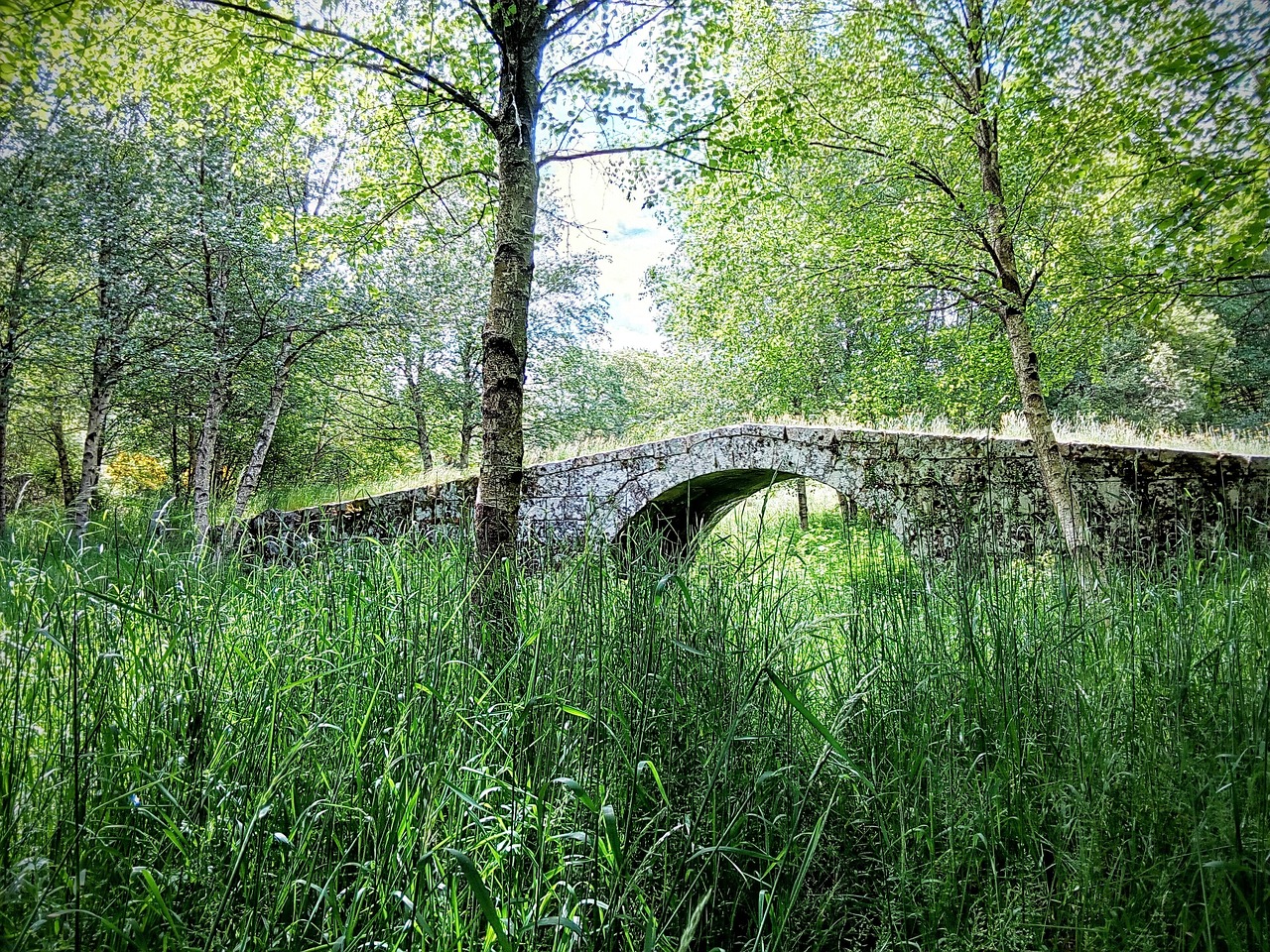 Qué te ofrece una empresa de viajes al visitar Galicia